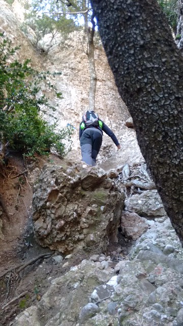 IMG-20190127-WA0073