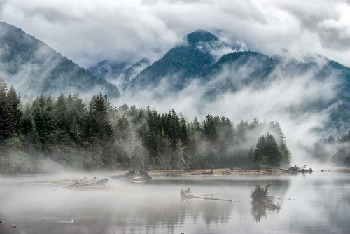 canada vancouver island river water fog mist mountains forest tree clouds landscape nature travel nikon d800 british columbia