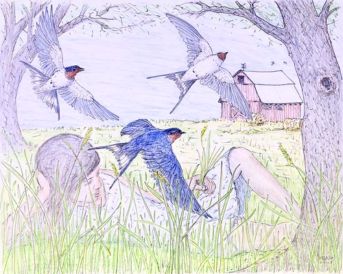 swallows birds landscape sky field meadow girl grass hay barn bale trees summer outdoors nature explore hiam illustration childhood contemplation young