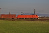145 050-1 [ad] zwischen Ladenburg u. M.-Friedrichsfeld