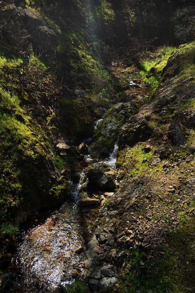 Salt Creek Heights West Trail
