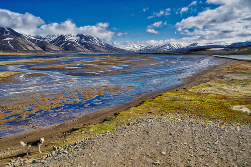 svalbard norway arctic north blue bluesky clouds water fjord valley landscapes landscape dog rocks hdr outdoors outside sunny spitsbergen