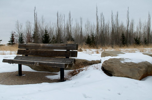 nose creek winter scene bench calgary カルガリー アルバータ州 alberta canada カナダ 11月 十一月 霜月 jūichigatsu shimotsuki frostmonth autumn fall 平成29年 2017 november