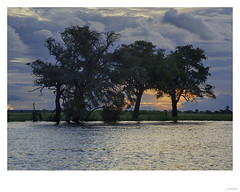 Sunset on Chobe river Botswana