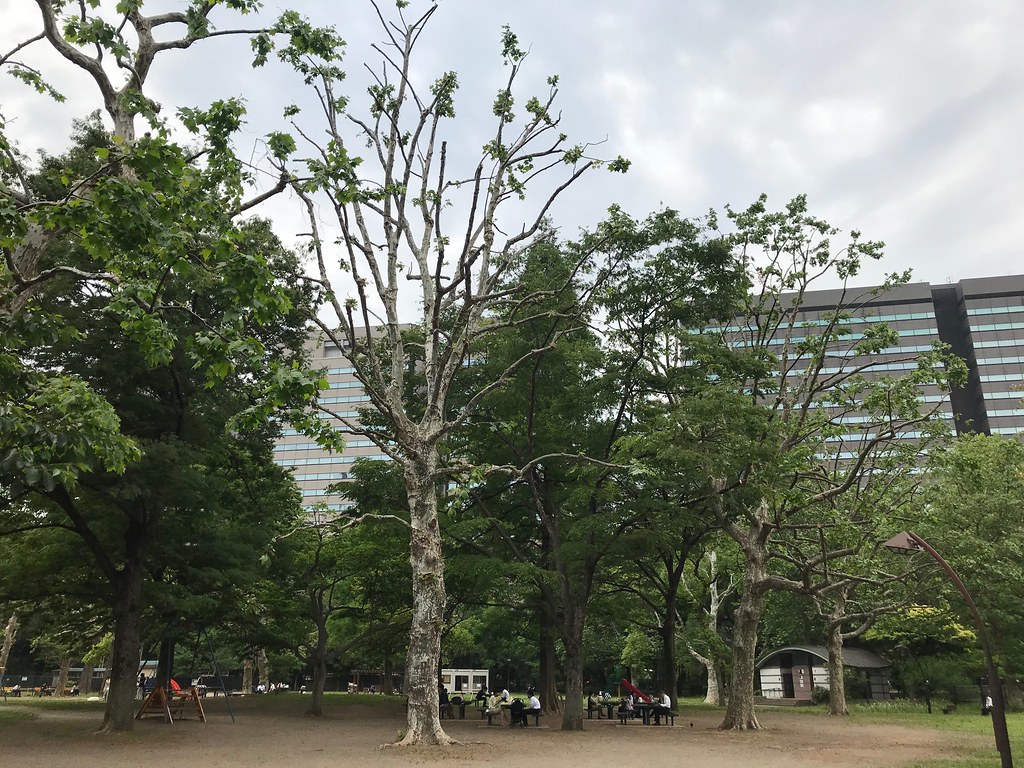 Toriyoshi