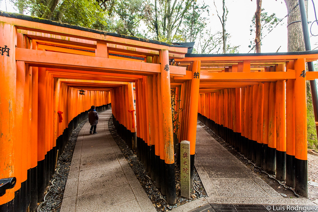 Nuestro hijo Eric en los caminos de las mil puertas torii