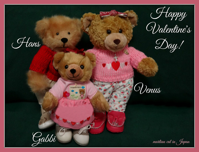 "Introducing my teddy bears named Hans, Venus, and Gabbi."