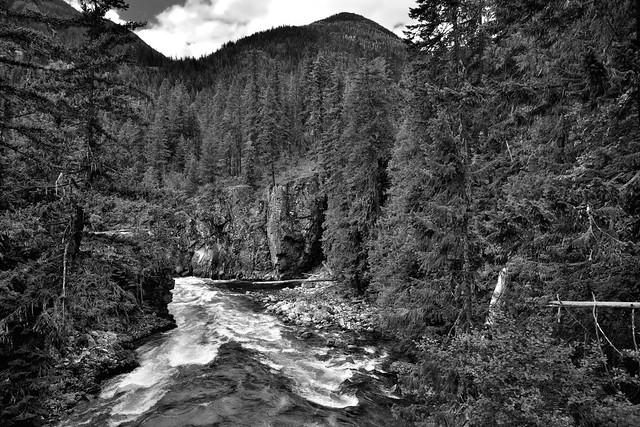 The Stehekin River with a Backdrop of Evergreens and Mountains (Black & White, North Cascades National Park)