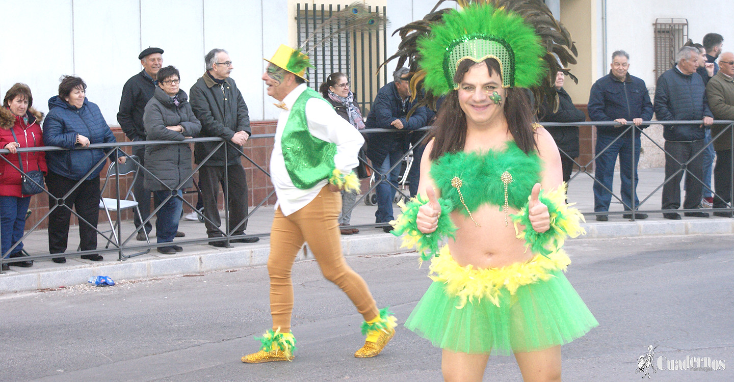 carnaval-tomelloso-desfile-locales-2019 (333)