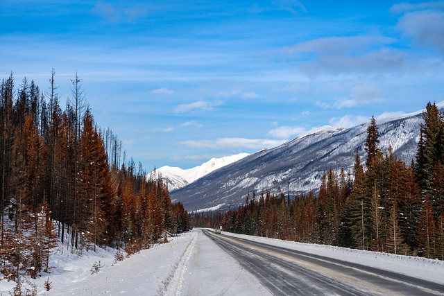 Highway 93 through Kootenay National Park during a sunny winter day