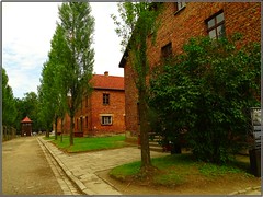 Auschwitz (Poland)