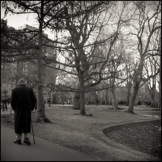 Old Man Walk, film