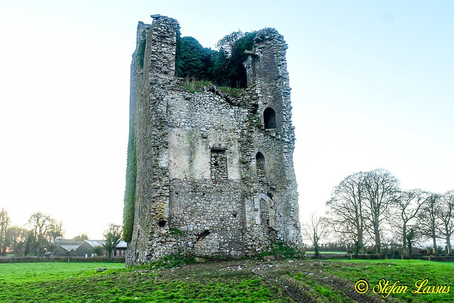 Laois, Gortnaclea Castle