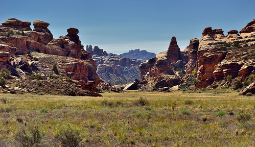 azimuth194 blueskies canyonwalls canyonlands canyonlandsnationalpark canyons capturenx2edited centralcanyonlands colorefexpro coloradoplateau confluenceoverlooktrail cyclonecanyon day4 desertgrassland desertlandscape desertmountainlandscape desertplantlife desertprairieland desertwildflowers highdesert hiketoconfluenceoverlook hikingtrail intermountainwest landscape layersofrock lookingssw nature naturetrail needlesskyline nikond800e outside project365 sandstonecolumn sandstonepillar sandstonerockcolumn smallbush smallbushes sunny theneedlesdistrict trail utahhighdesert utahnationalparks2017 ut unitedstates