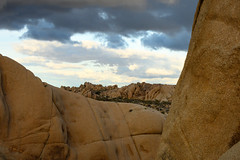 Jumbo Rocks Vista