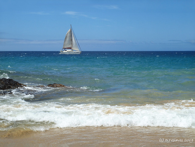 Scene from a Canary Islands beach
