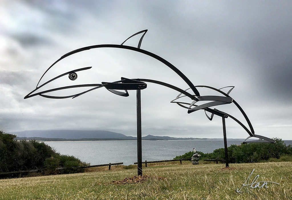 Dolphins Sculpture Bermagui scu… Flickr