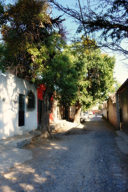A quiet street in Ajijic, Mexico