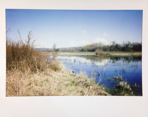 oregon fujifilm rural landscape pond instaxwide ankeny