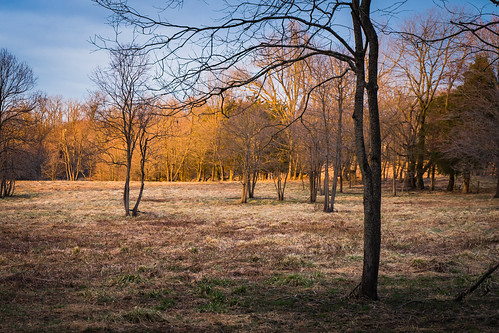 outdoors outside nature rachelcarson conservation park montgomery county evening woods forest rural alone solitude quiet peace sony alpha a7rii ilce7rm2 tamron 2875 nex femount emount ilce bealpha sonyshooter lens wide zoom trees sunset sun setting sundown dusk light orange red yellow sky blue field meadow fox grass spring tamron2875