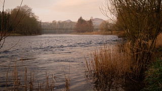 River Tweed, Dryburgh.jpg
