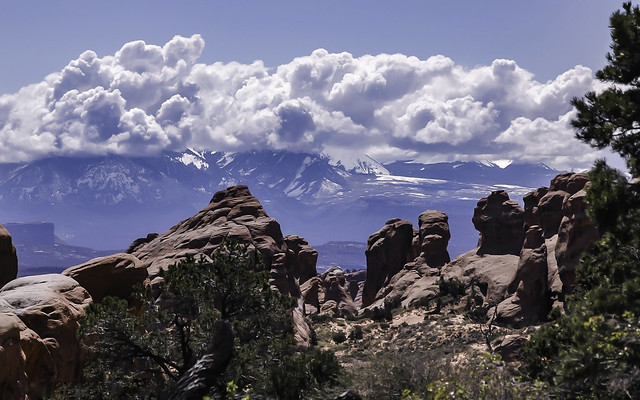 Arches NP 14-1