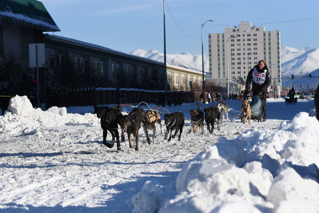 Open World Championship Sled Dog Races. Fur Rondy 2019