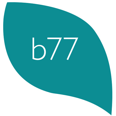 b77