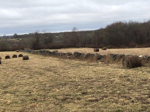 field hay rhode island tiverton