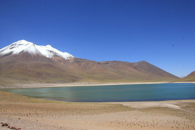 Dia 4: Lagunas Altiplanicas, Piedras rojas y Tour Astronomico (16/02/19) - Por el fin del mundo: Atacama, Perito Moreno, Patagonia e Isla de Pascua (27)