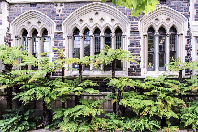 Dunedin: University of Otago
