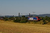 482 030-4 [bb] SBB Cargo zwischen Ladenburg und M-Friedrichsfeld _b