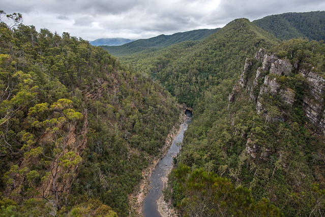 Alum Cliffs (Tulampanga) State Reserve - Mole Creek - Tasmania