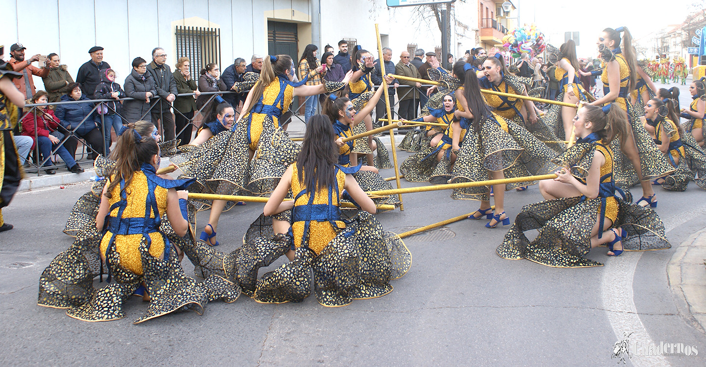 carnaval-tomelloso-desfile-locales-2019 (219)