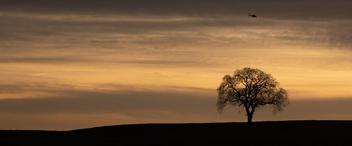 aberdeen aberdeenshire potterton tree landscape panorama scotland sky sunrise sunset canon canon5d eos