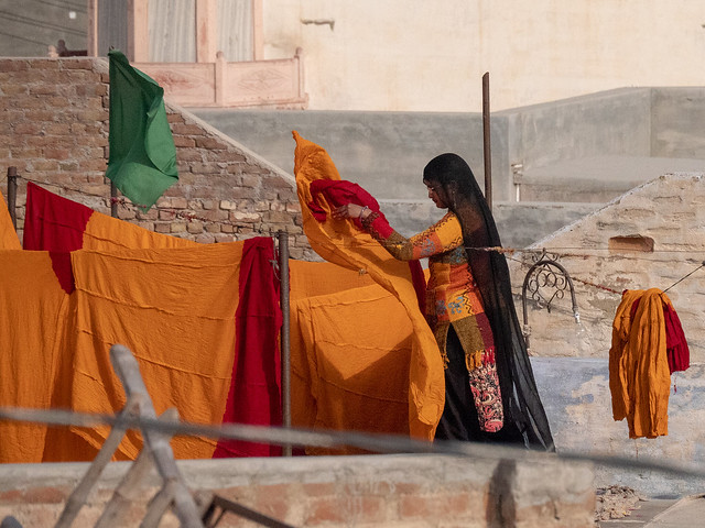 Bikaner Woman and colors (1)