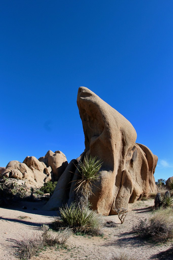 Grand Canyon - West Wall (E. Face)