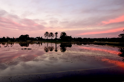 sunset lines reflection reflejos lake lago puestadesol atardecer red purple españa andalucia spain cádiz