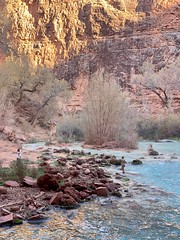 Havasupai Backpacking 2019 - 42 of 70