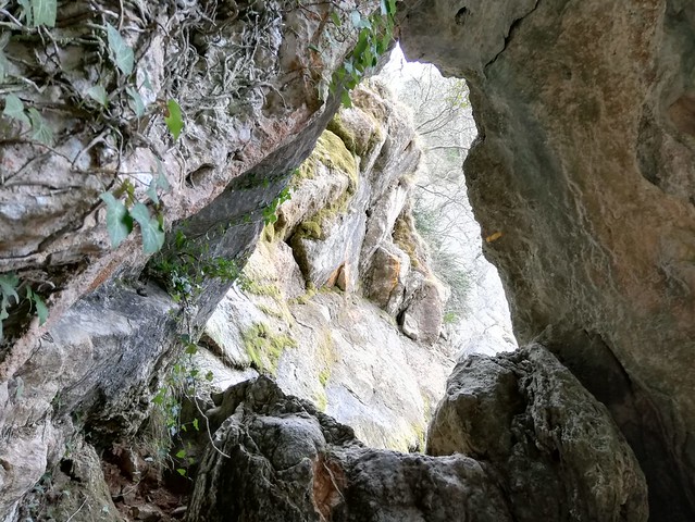 IMG-20190303-WA0054