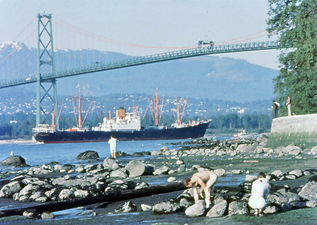 Freighter under the Lions Gate bridge. June 15th., 1969