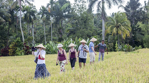 vacation holiday asia indonesia indonesie sawadee java harnis plantation kalibaru rice fields trees marjon people id