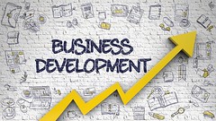 Business Development Services in Lagos Nigeria. Developer.