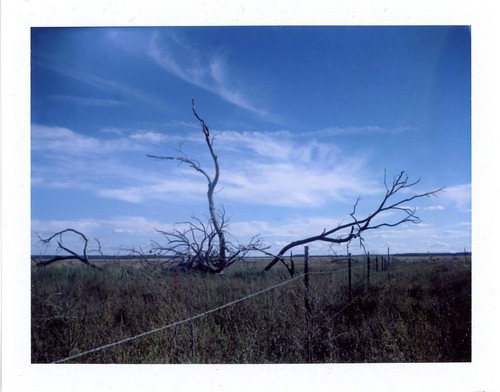 polaroid polaroidlandcamera peelapartfilm fujifp100c instantcamera instantfilm rural landscape newmexico