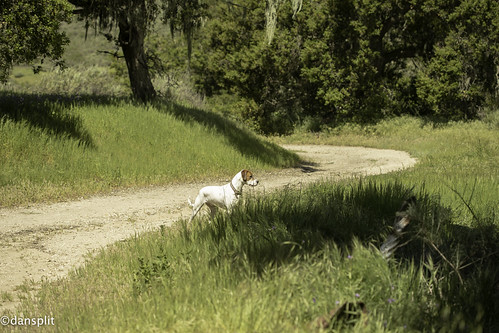 0P2A2779 by dansplit Photography, santamaria california unitedstatesofamerica us