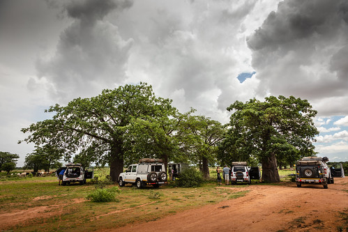 africa overland adventure travel cloudy ultimateadventures southernafrica a104 rest canon dodomaregion baobabtree eos5dmarkiv dodoma tanzania tz