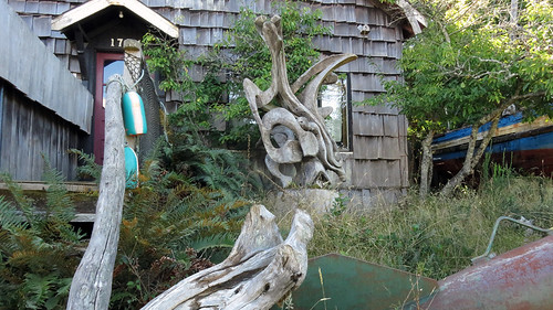 Weathered driftwood in a yard in Ucluelet on Vancouver Island, BC, Canada