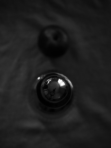 Autofocus Joke | by Foveonyc ️