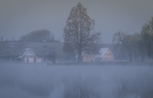 nagykanizsa magyarország landscape nature fog foggymorning foggy canon lakeside lakeview reflection trees water