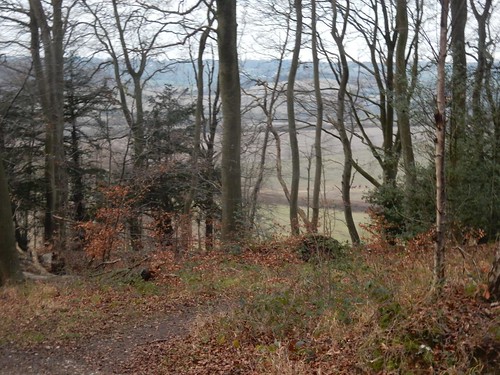 View through trees Little Kimble to Saunderton